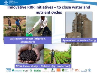Game changers for irrigated agriculture –  do the right incentives exist?