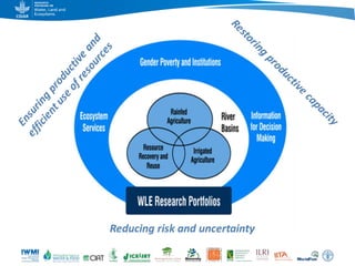 Game changers for irrigated agriculture –  do the right incentives exist?
