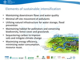 Game changers for irrigated agriculture –  do the right incentives exist?