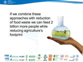 Game changers for irrigated agriculture –  do the right incentives exist?