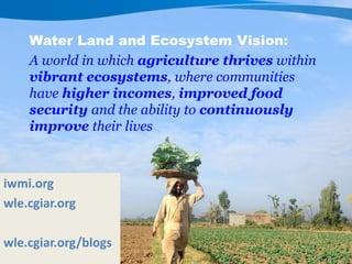 Game changers for irrigated agriculture –  do the right incentives exist?