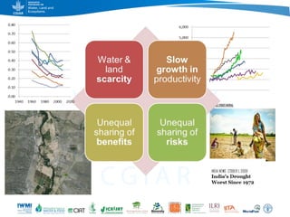 Game changers for irrigated agriculture –  do the right incentives exist?