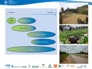 Game changers for irrigated agriculture –  do the right incentives exist?