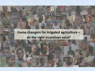 Game changers for irrigated agriculture –  do the right incentives exist?