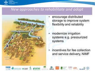 Game changers for irrigated agriculture –  do the right incentives exist?