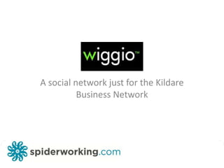 A social network just for the Kildare Business Network 