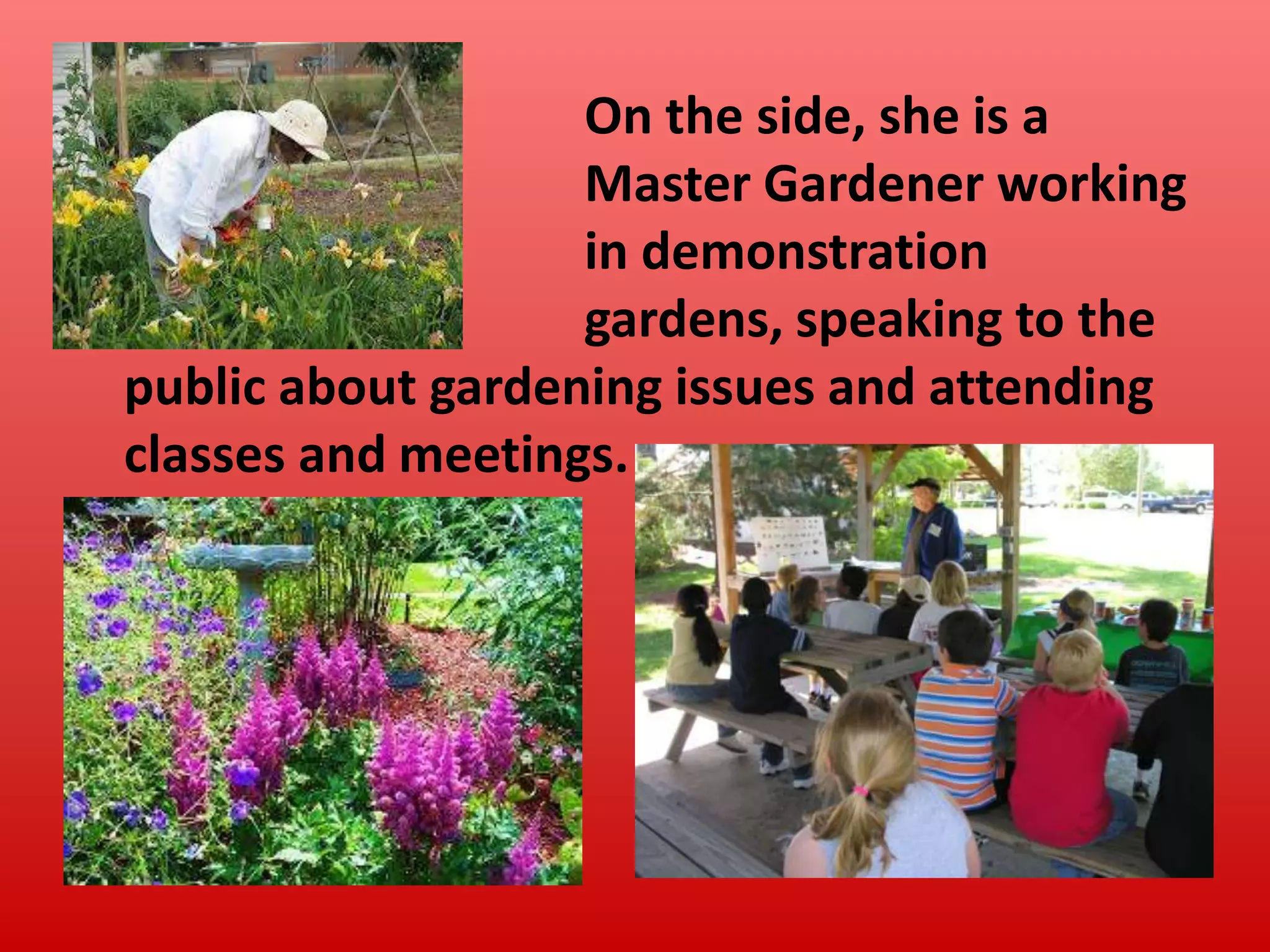 On the side, she is a
Master Gardener working
in demonstration
gardens, speaking to the
public about gardening issues and attending
classes and meetings.

 