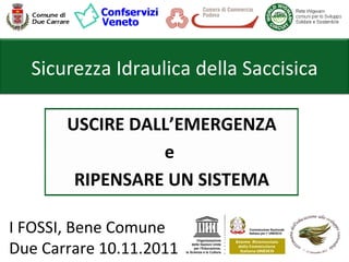 Sicurezza Idraulica della Saccisica

       USCIRE DALL’EMERGENZA
                 e
        RIPENSARE UN SISTEMA

I FOSSI, Bene Comune
Due Carrare 10.11.2011
 