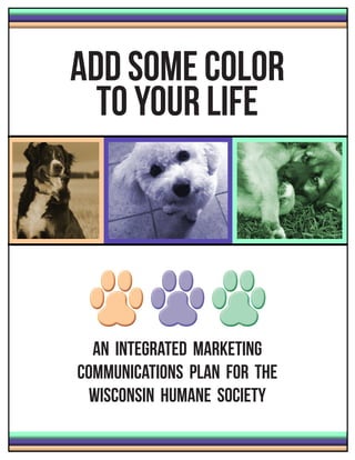 Add Some Color
  To Your Life




  An Integrated Marketing
Communications PlaN for the
  Wisconsin Humane Society
 