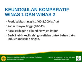 KEUNGGULAN KOMPARATIF
WINAS 1 DAN WINAS 2
• Produktivitas tinggi (1.400-2.200 kg/ha)
• Kadar minyak tinggi (48-51%)
• Rasa lebih gurih dibanding wijen impor
• Berbiji lebih kecil sehingga efisien untuk bahan baku
industri makanan ringan.
 