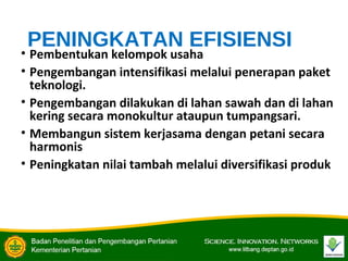 PENINGKATAN EFISIENSI
• Pembentukan kelompok usaha
• Pengembangan intensifikasi melalui penerapan paket
teknologi.
• Pengembangan dilakukan di lahan sawah dan di lahan
kering secara monokultur ataupun tumpangsari.
• Membangun sistem kerjasama dengan petani secara
harmonis
• Peningkatan nilai tambah melalui diversifikasi produk

 