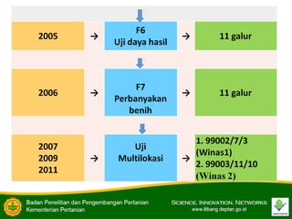 varietas unggul wijen, winas 1 dan winas 2