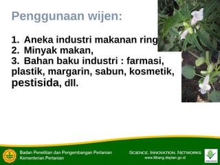 Penggunaan wijen:
1. Aneka industri makanan ringan,
2. Minyak makan,
3. Bahan baku industri : farmasi,
plastik, margarin, sabun, kosmetik,
pestisida, dll.
 