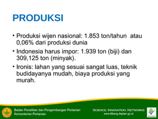 PRODUKSI
• Produksi wijen nasional: 1.853 ton/tahun atau
0,06% dari produksi dunia
• Indonesia harus impor: 1.939 ton (biji) dan
309,125 ton (minyak).
• Ironis: lahan yang sesuai sangat luas, teknik
budidayanya mudah, biaya produksi yang
murah.
 
