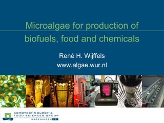 Microalgae for production of biofuels, food and chemicals René H. Wijffels www.algae.wur.nl 