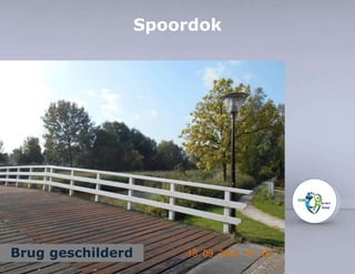 Spoordok 
Brug geschilderd 
 