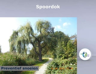 Spoordok 
Preventief snoeien 
 
