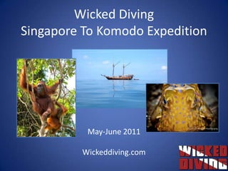 Wicked DivingSingapore To Komodo Expedition May-June 2011 Wickeddiving.com 
