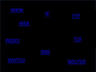 www
           IP    FTP
    WEB


PROXY             TCP

          DNS
SWITCH          ROUTER
 