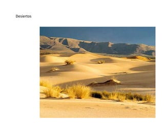 Desiertos
 