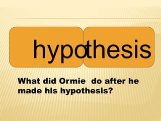 hypothesis
What did Ormie do after he
made his hypothesis?
 