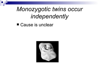 Monozygotic twins occur
    independently
   Cause is unclear
 