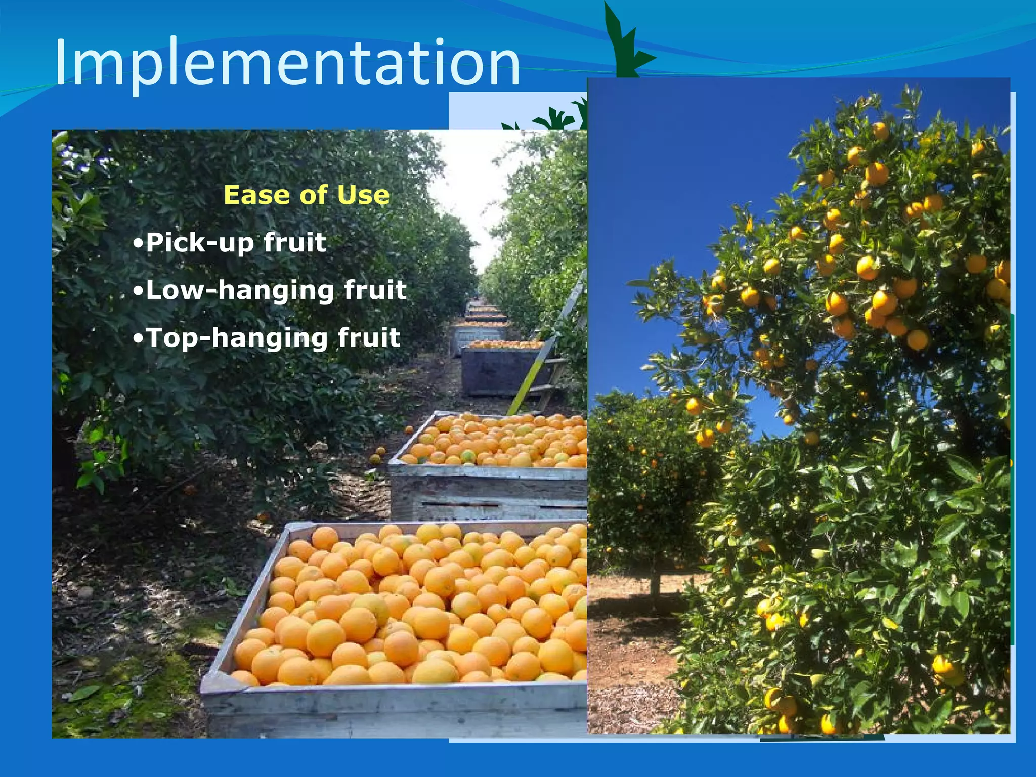 Ease of Use Pick-up fruit Low-hanging fruit Top-hanging fruit Implementation 