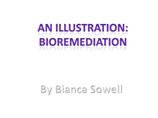 An illustration: Bioremediation By Bianca Sowell 