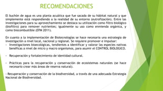 Wiki 5 biotecnologia ambiental ppt