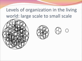 Levels of organization in the living world: large scale to small scale 