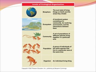 Biosphere Ecosystem Community Population Organism The sum total of living things on Earth and the areas they inhabit A functional system consisting of a community, its nonliving environment, and the interactions between them A set of populations of different species living together in a particular area A group of individuals of the same species that live in a particular area at the same time An individual living thing 