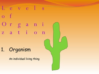 Levels of Organization Organism An individual living thing 