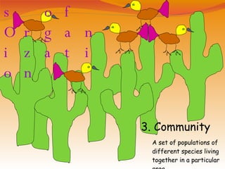Levels of Organization 3. Community A set of populations of different species living together in a particular area 