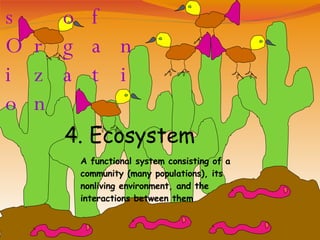 Levels of Organization 4. Ecosystem A functional system consisting of a community (many populations), its nonliving environment, and the interactions between them 