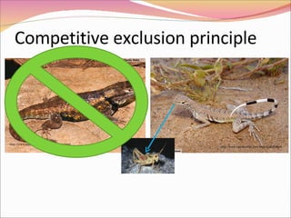Competitive exclusion principle http://www.reptilesofaz.com/herp-lizards.html http://www.reptilesofaz.com/herp-lizards.html 