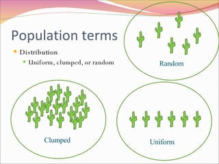 Population terms Distribution Uniform, clumped, or random Clumped Uniform Random 