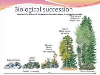Biological succession 