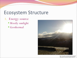 Ecosystem Structure Energy source Mostly sunlight Geothermal http://www.bbc.co.uk/northyorkshire/content/image_galleries/january06_gallery.shtml?18 