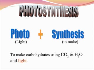 PHOTOSYNTHESIS Photo + Synthesis (Light) (to make) To make carbohydrates using  CO 2  & H 2 O and  light . 