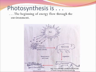 Photosynthesis is . . .  . . . The beginning of energy flow through the environment. http://www.colostate.edu/Depts/CoopExt/SEA/Tim/017energyflowinecosystem.jpg 