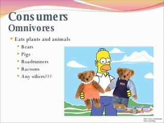 Eats plants and animals Bears Pigs Roadrunners Racoons Any others??? Consumers Omnivores http://www.custommadebears.com/blog/ 