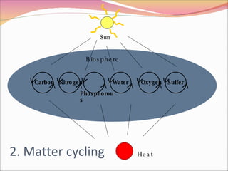 2. Matter cycling Biosphere Heat Carbon Nitrogen Sulfer Phosphorous Oxygen Water Insert thermodynamics slides here Sun 