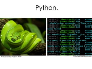 Python.
Photo: Sebastian Niedlich - Flickr Photo: opensourcehacker.com
 