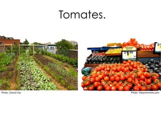 Tomates.
Photo: marycrimmins.comPhoto: Carrot City
 