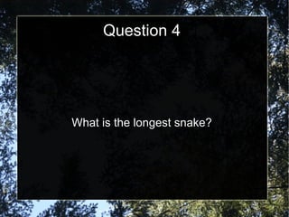 Question 4 What is the longest snake? 
