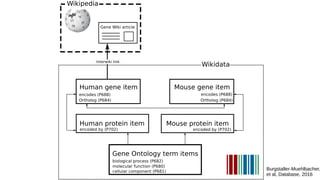 Burgstaller-Muehlbacher,
et al, Database, 2016
 