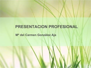 PRESENTACION PROFESIONAL Mª del Carmen González Aja 