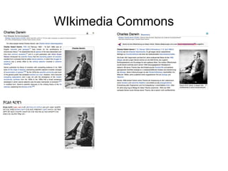 WIkimedia Commons

 