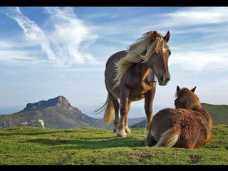 07.02.2012   Wikidata   Denny Vrandečić
10
 