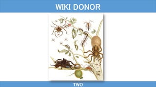 TWO
WIKI DONOR
 